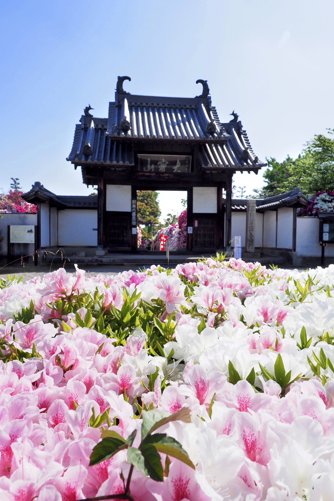 法雲寺