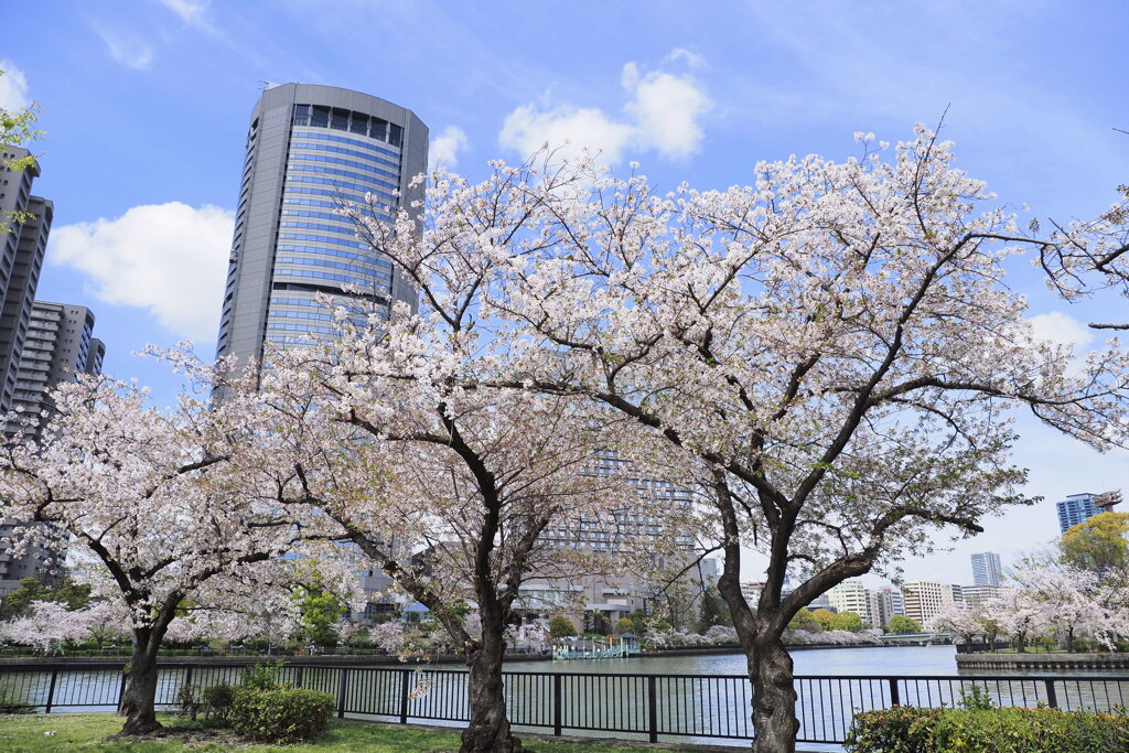 桜之宮公園