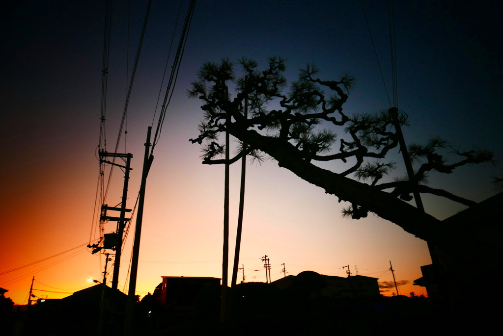 夜明け