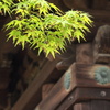 多宝塔