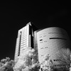大阪歴史博物館とＮＨＫ