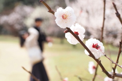 梅花
