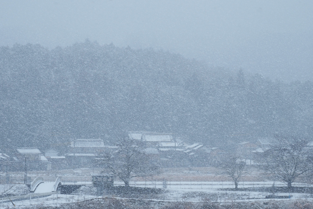 雪日