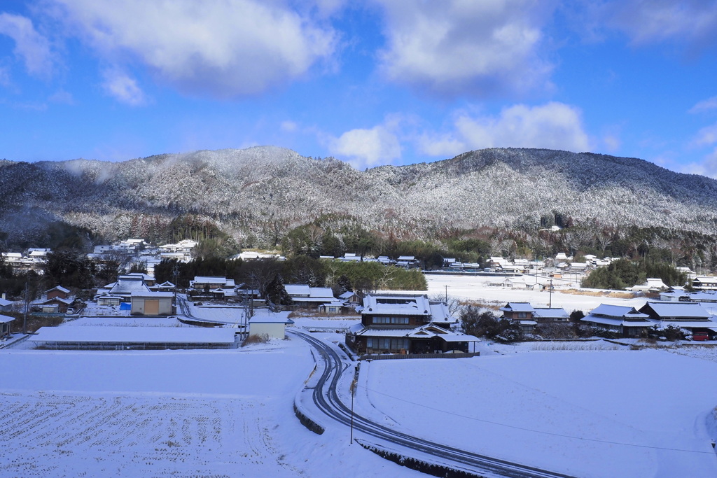 雪の日