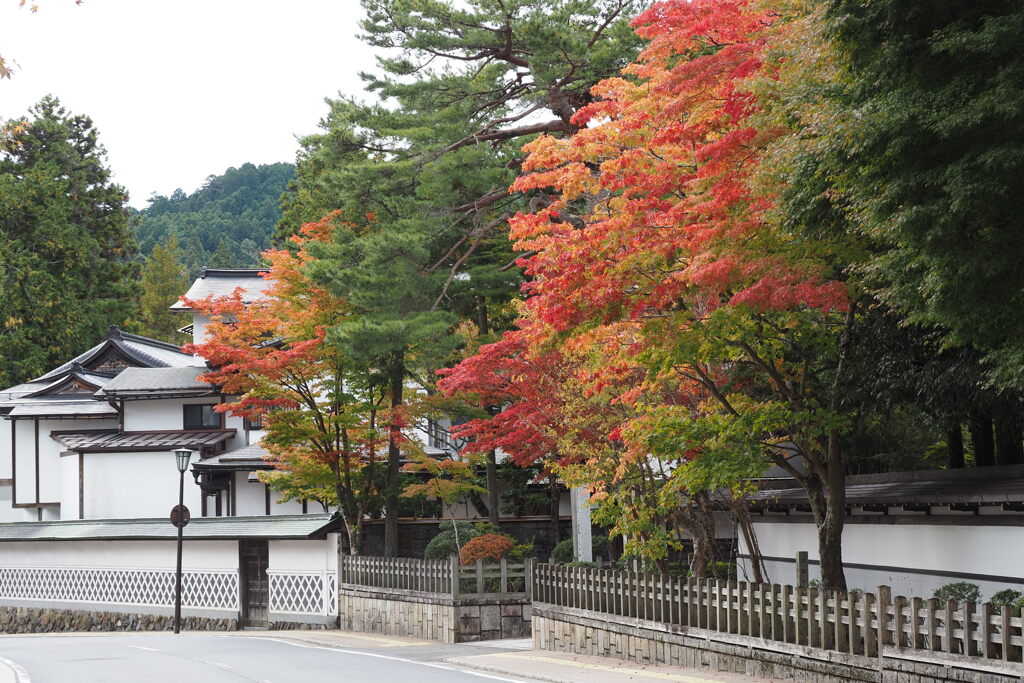 高野山にて