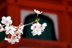 多宝塔