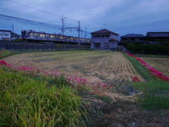 朝活