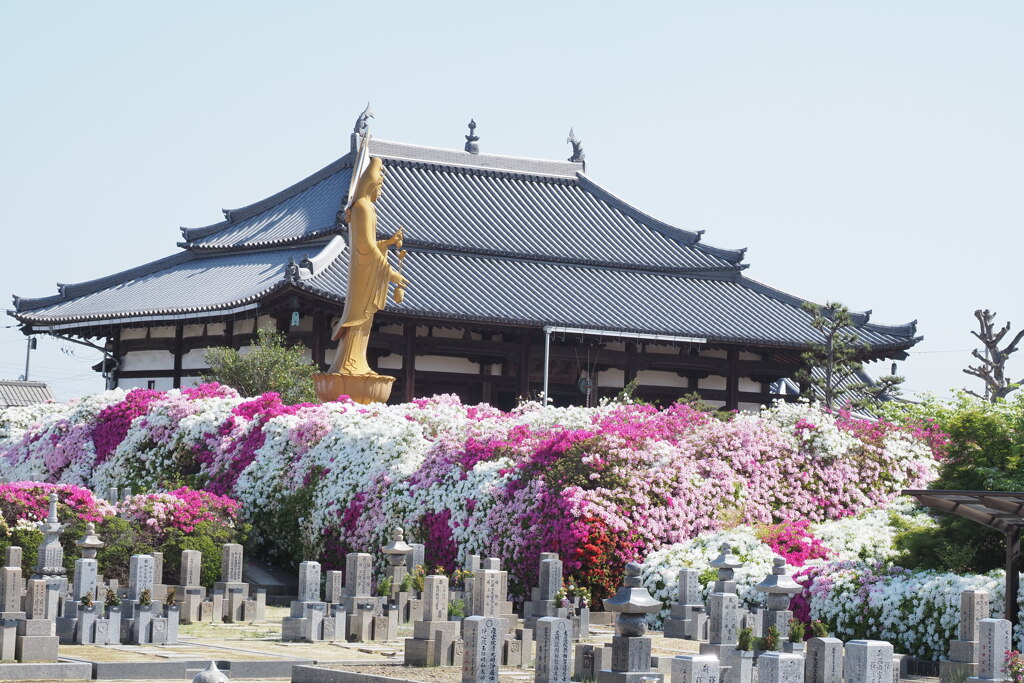 法雲寺