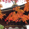 東塔と紅葉 １