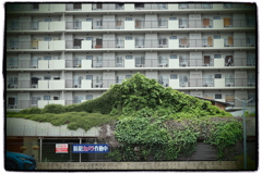 トイフォト