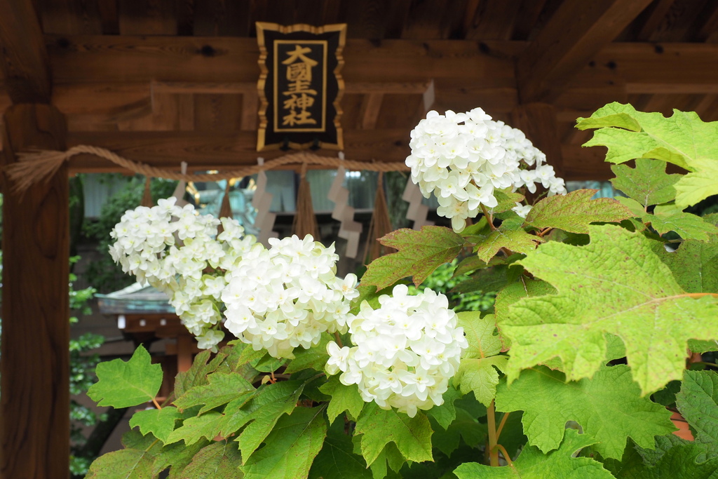 坐摩（いかすり）神社 ２