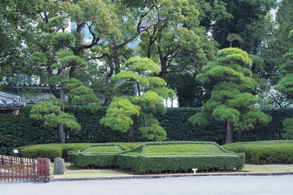 皇居東御苑 ２