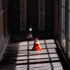光と影