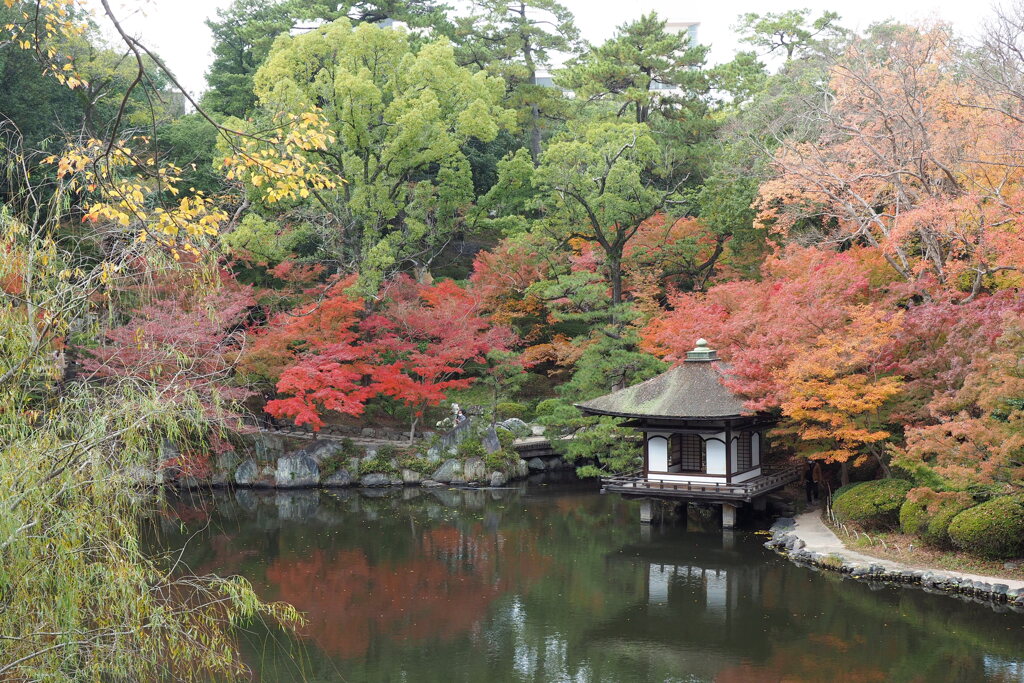 紅葉渓庭園 ５