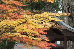 高野山にて