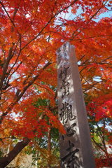 観心寺紅葉
