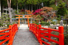 祓川弁財天紅葉（高野山）