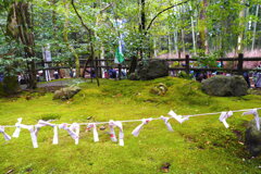 野宮（ののみや）神社 ５