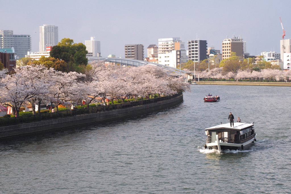 屋根の上