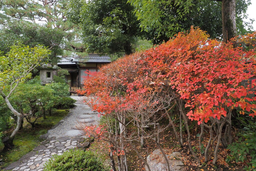 吉城園