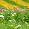 馬見丘陵公園 ３