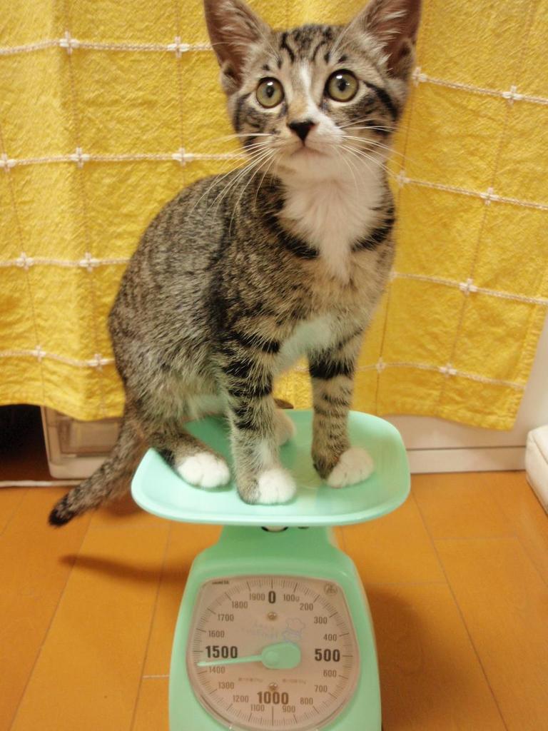 どう？大きくなった？