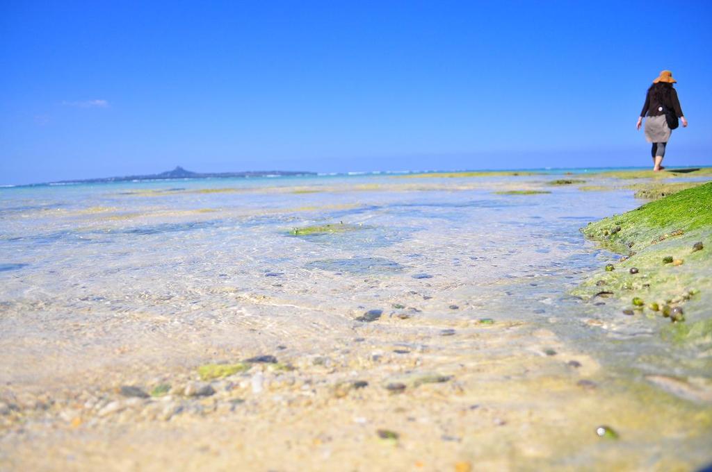 沖縄旅行記