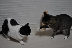 入れ替わりヒートアップ!!!