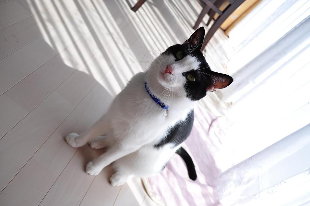 完全に起きちゃった