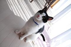 完全に起きちゃった