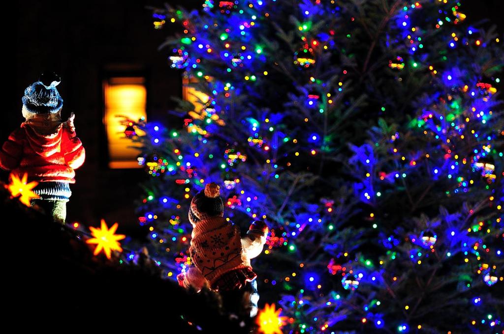Children on Christmas Tree