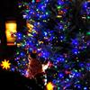 Children on Christmas Tree