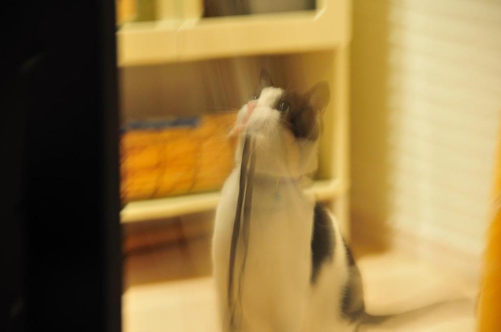 投げて～
