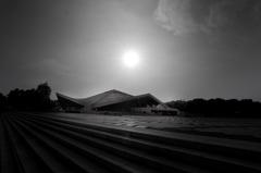 夕暮れの駒沢公園