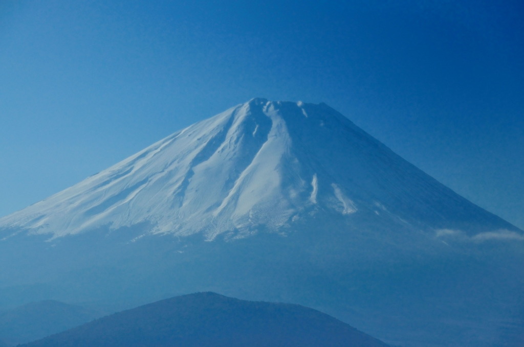日本の春