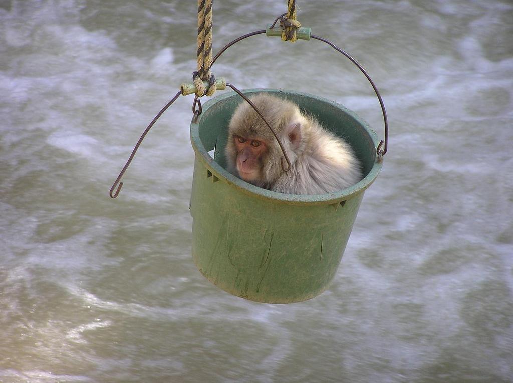 居心地が良い場所