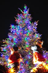 Children on Christmas Tree