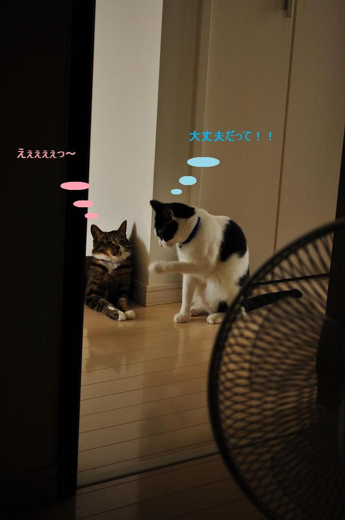 励まし