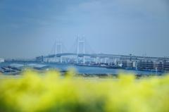 横浜のとある風景