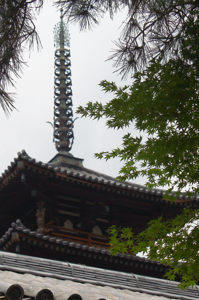 秋の気配がするよ　法隆寺