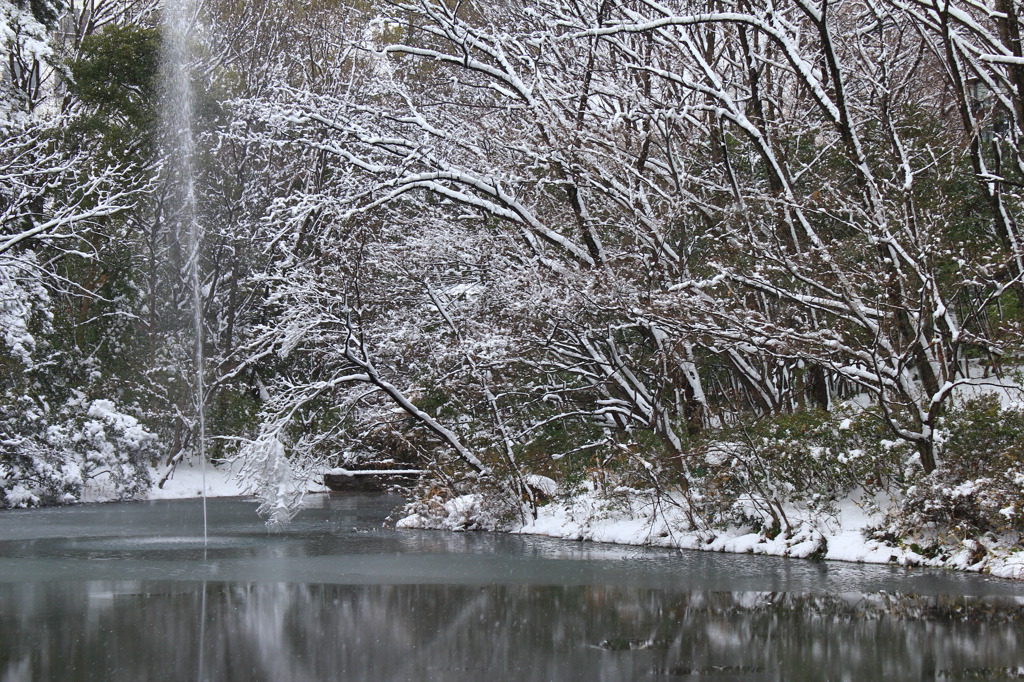 雪化粧