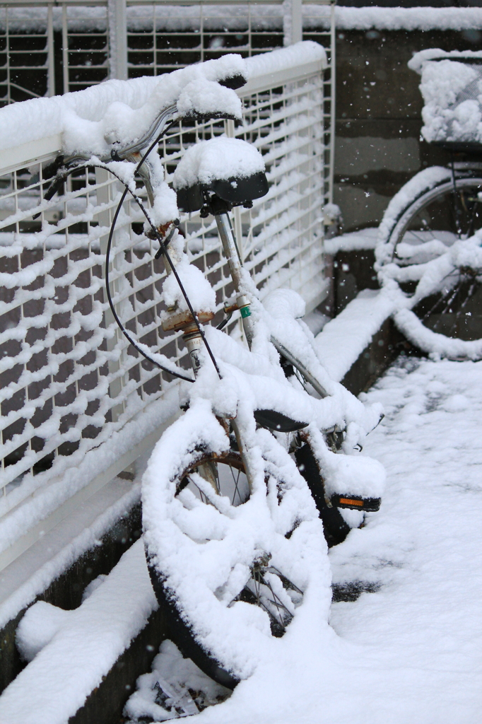 雨も風も雪も