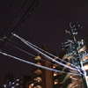 白い電線
