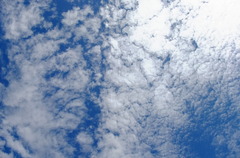 0909090039
