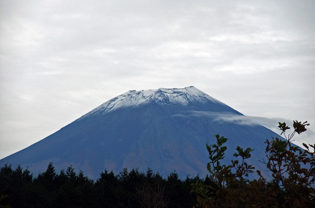 FUJIYAMA x 朝霧