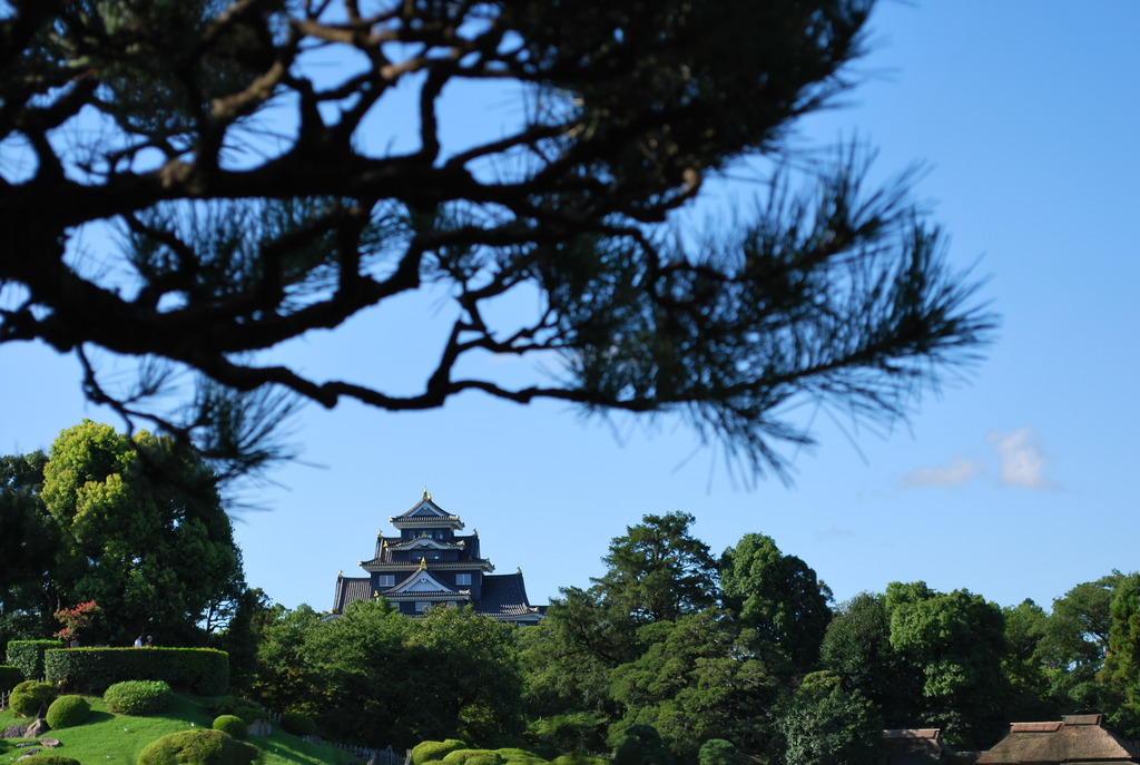 後楽園から望む岡山城