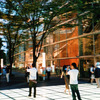 photo240089