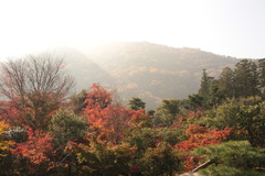 嵐山・天龍寺にて