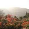 嵐山・天龍寺にて