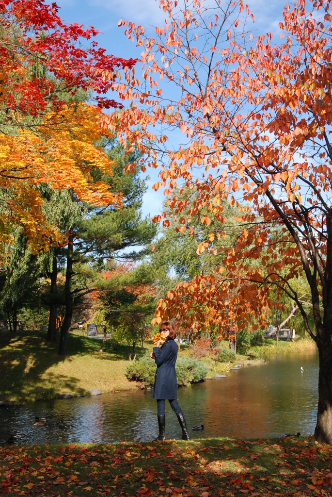 日本の秋？